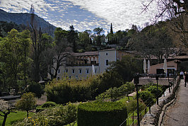 Bernhard Saalfeld - DSC05775 -1